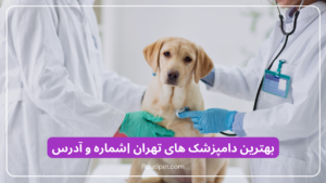 بهترین دامپزشک های تهران |شماره و آدرس