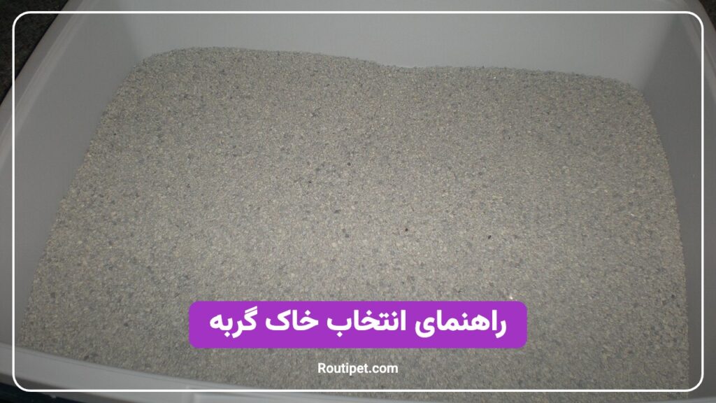 راهنمای انتخاب خاک گربه - مجله روتی پت