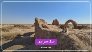 سگ سرابی - مجله روتی پت